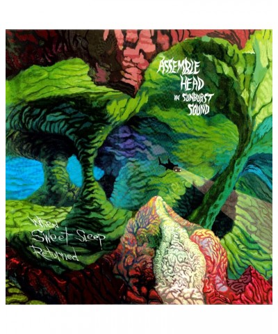 Assemble Head In Sunburst Sound When Sweet Sleep Returned Vinyl Record $8.93 Vinyl